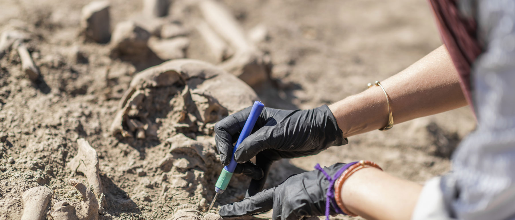 an archaeologist digging in the dirt on an excavation site